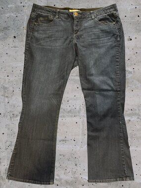 Democracy Women’s Plus Size Medium Blue Wash Denim Jeans (1229)